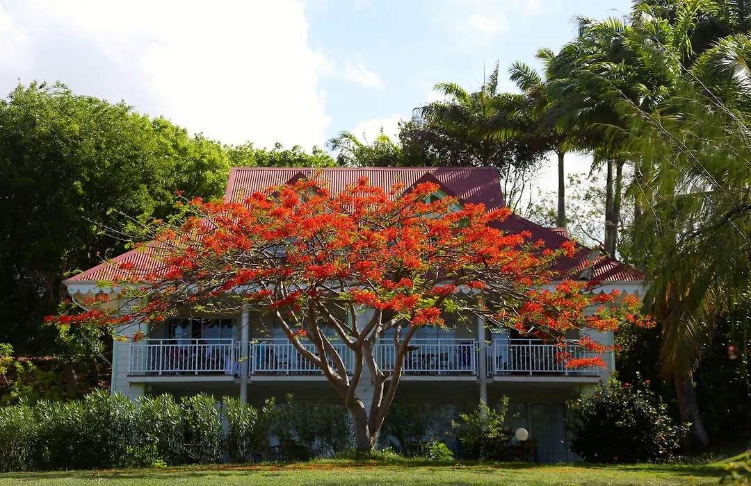 Residence Pierre & Vacances Premium Les Tamarins-1